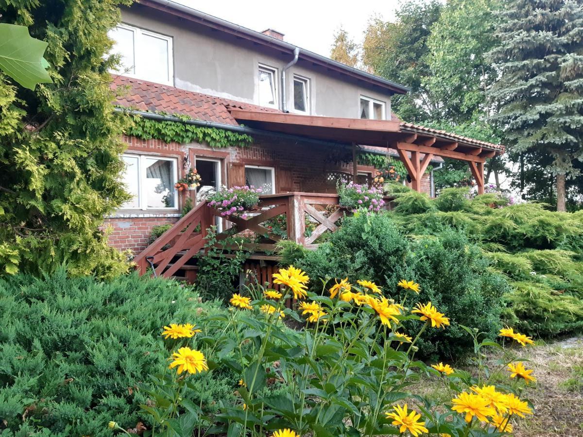 Villa Dziki Brzeg Jezioraka Zalewo  Exterior foto